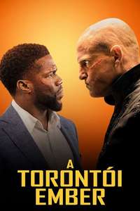The Man from Toronto - Poster