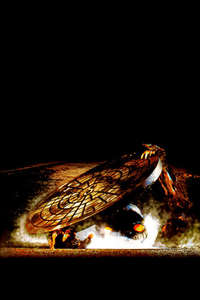 C.H.U.D. - Poster