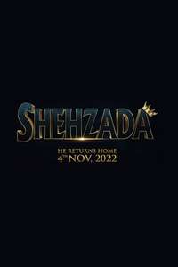 Shehzada - Posters