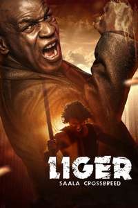 Liger - Posters