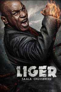 Liger - Posters