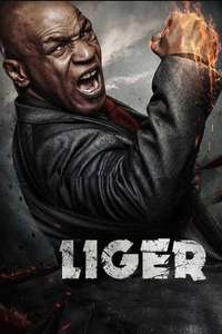 Liger - Posters
