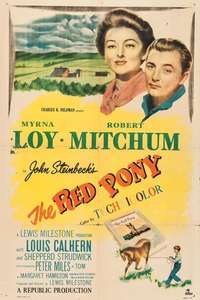 The Red Pony - Poster