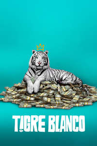 The White Tiger - Poster