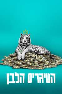 The White Tiger - Poster