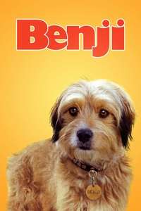 Benji - Posters