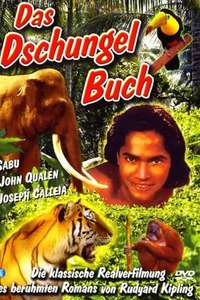 Jungle Book - Poster