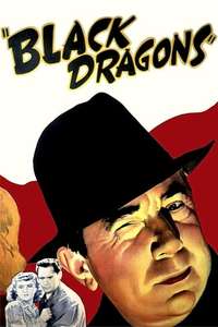 Black Dragons - Poster