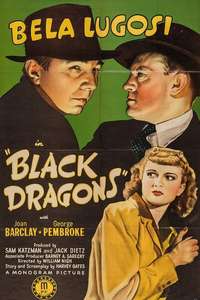 Black Dragons - Poster