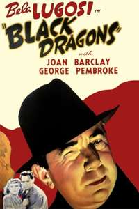 Black Dragons - Poster