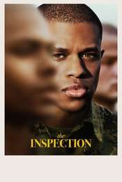 The Inspection
