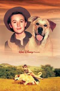 Old Yeller - Posters