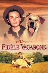 Old Yeller - Posters