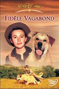 Old Yeller - Posters