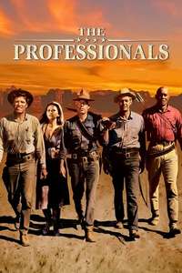 The Professionals - Poster