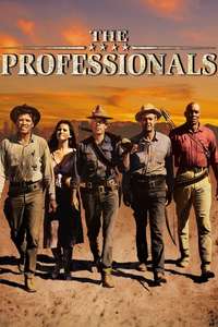 The Professionals - Poster