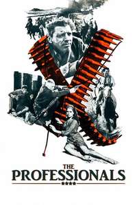 The Professionals - Poster