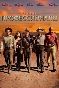 The Professionals - Poster