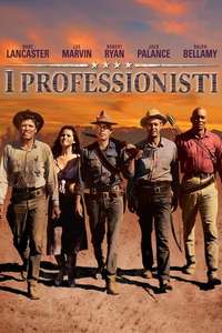 The Professionals - Poster