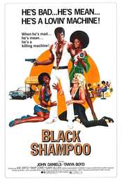 Black Shampoo