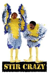 Stir Crazy - Poster