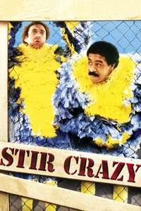 Stir Crazy - Poster