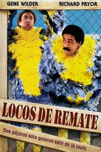 Stir Crazy - Poster