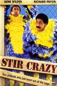 Stir Crazy - Poster