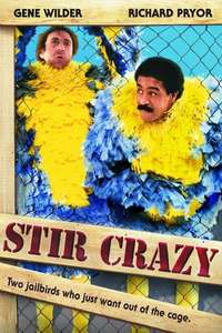 Stir Crazy - Poster