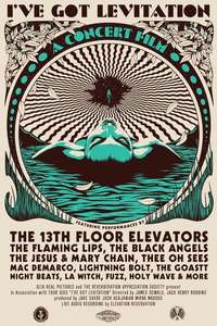 I've Got Levitation - Poster