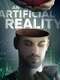 An Artificial Reality