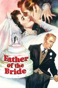 Father of the Bride - Poster