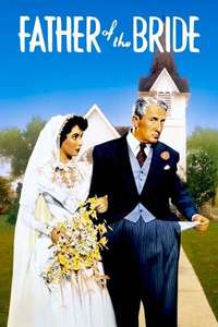 Father of the Bride - Poster