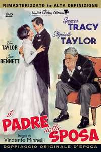 Father of the Bride - Poster