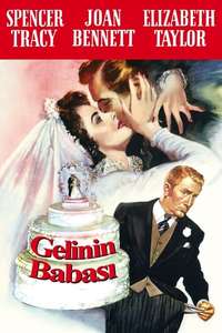 Father of the Bride - Poster