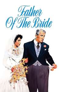 Father of the Bride - Poster