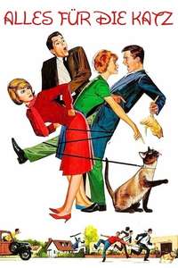 That Darn Cat! - Posters