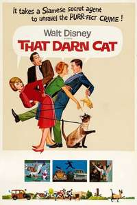 That Darn Cat! - Posters