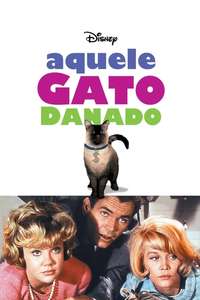 That Darn Cat! - Posters