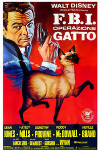 That Darn Cat! - Posters