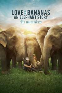 Love & Bananas: An Elephant Story - Poster
