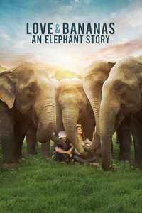 Love & Bananas: An Elephant Story - Poster