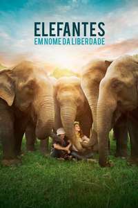 Love & Bananas: An Elephant Story - Poster
