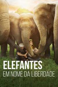 Love & Bananas: An Elephant Story - Poster