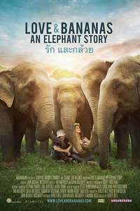Love & Bananas: An Elephant Story - Poster