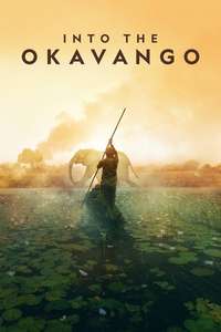 Into the Okavango - Posters