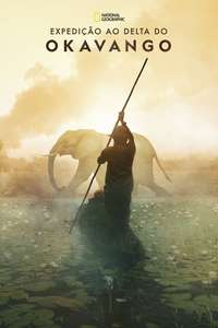 Into the Okavango - Posters