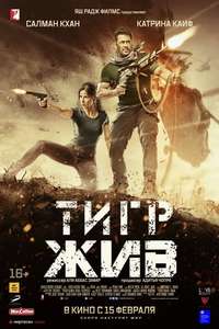 Tiger Zinda Hai - Poster
