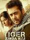 Tiger Zinda Hai