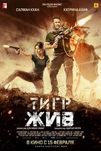 Tiger Zinda Hai - Poster